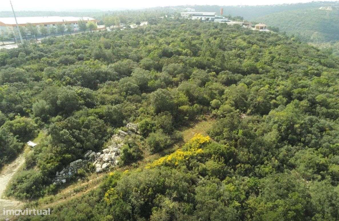 Terreno Rústico na preferia da fantástica Cidade de Fátima - Grande imagem: 5/6