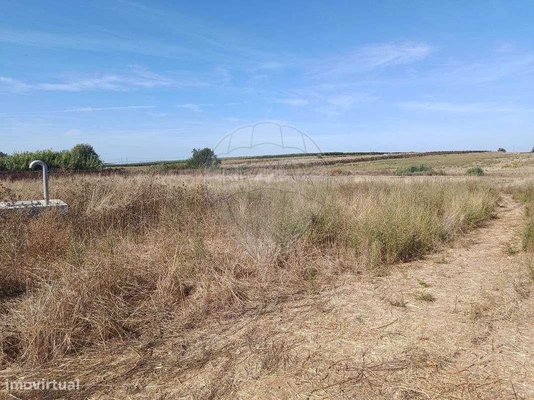 Terreno  para venda - Grande imagem: 5/8