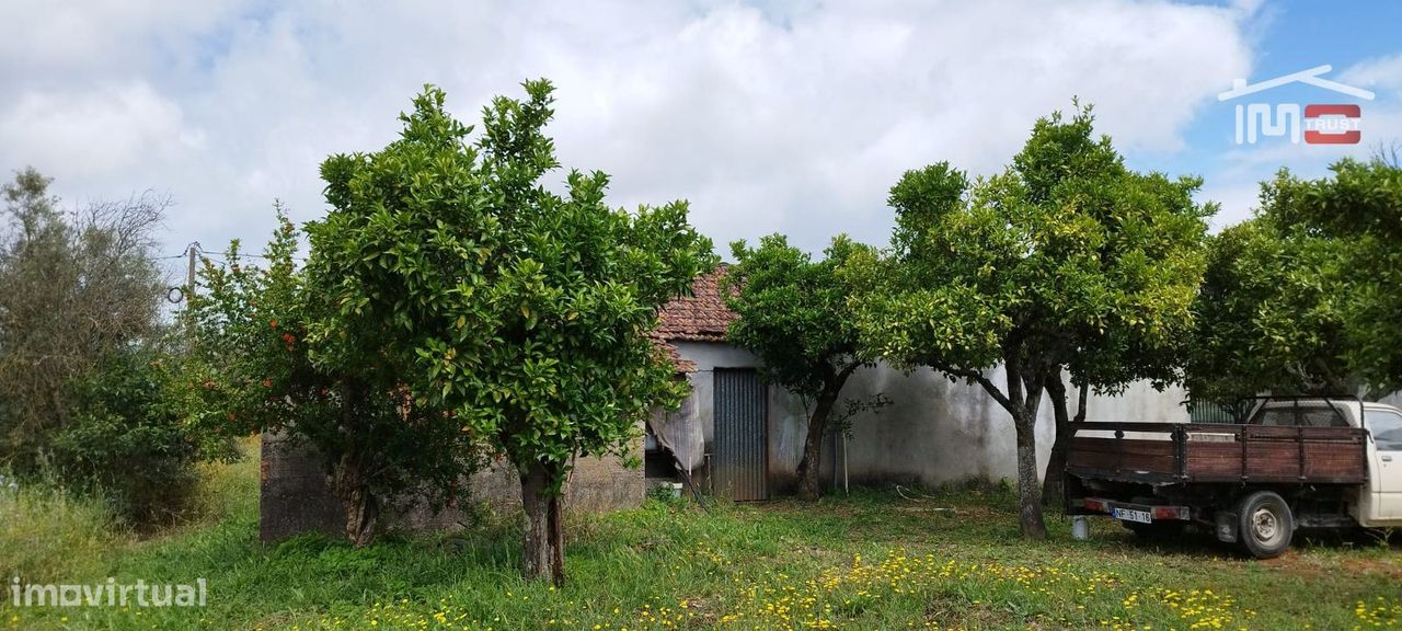 Moradia individual, para venda, Torres Novas - Brogueira, Parceiros...