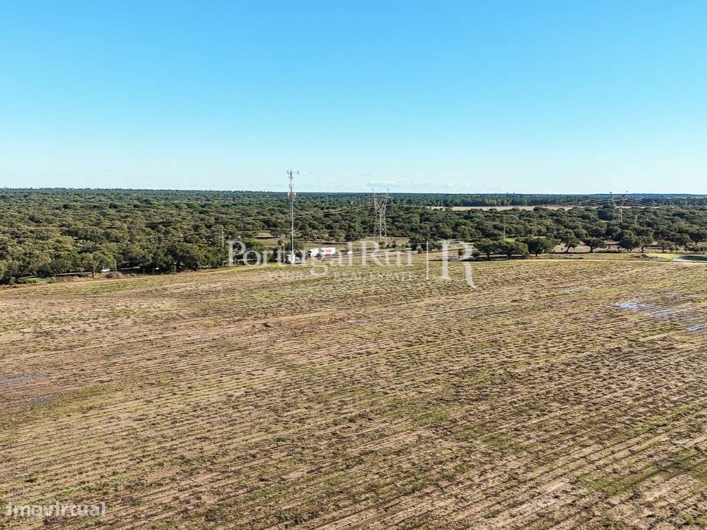 Herdade de 60 hectares para criação bovina e equina perto de Lisboa-13
