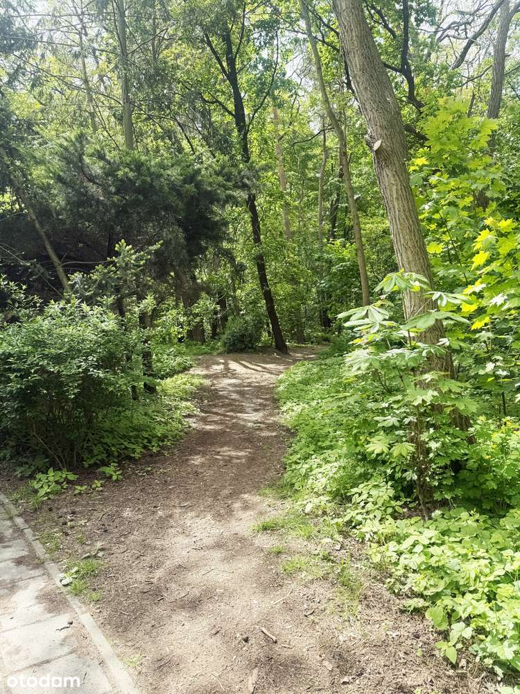 tylko tu  ładne 2/3 pokojowe os. Pomorskie-13