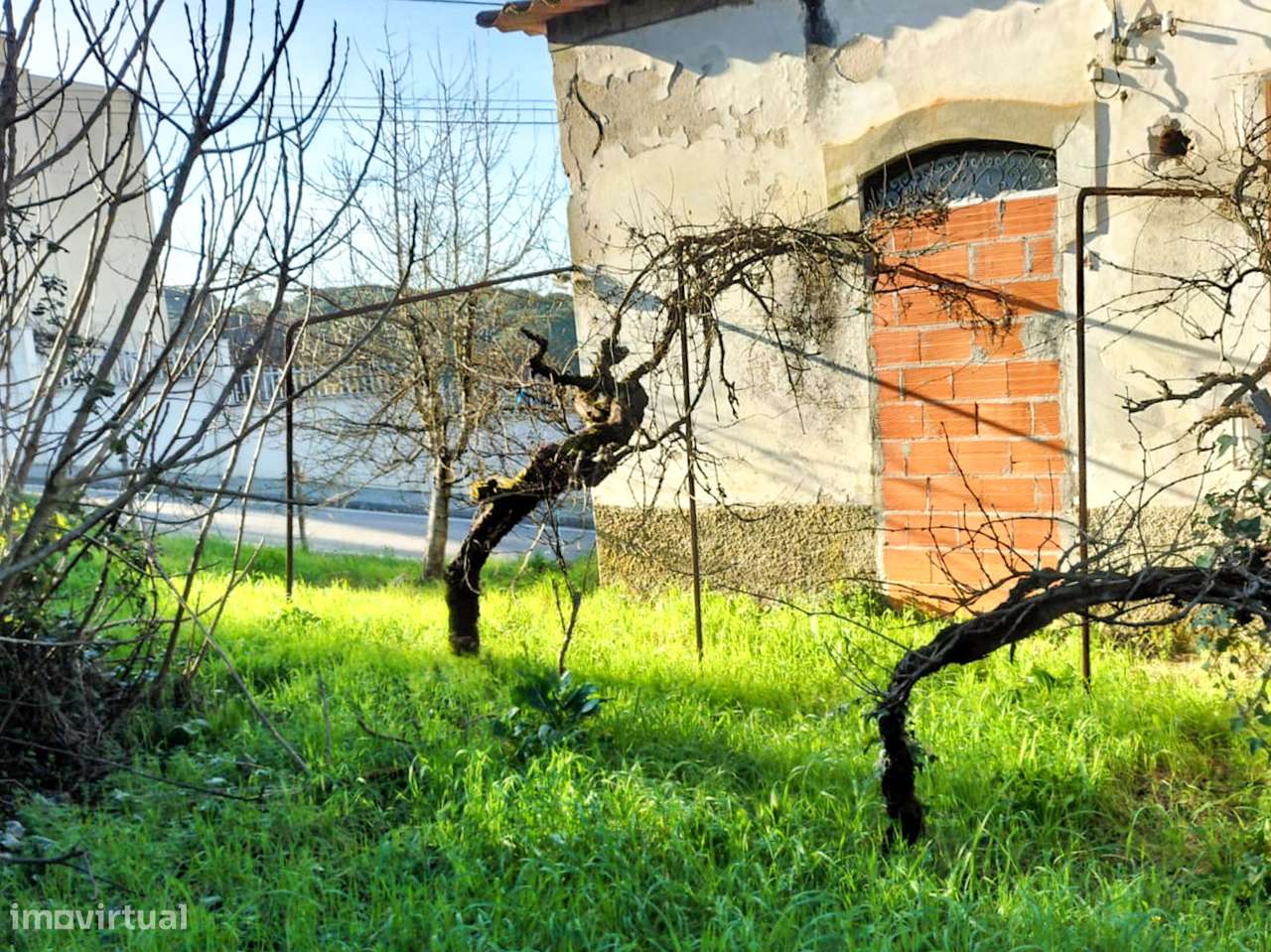 Moradias geminadas (2 T2) - Arganil - Grande imagem: 4/23