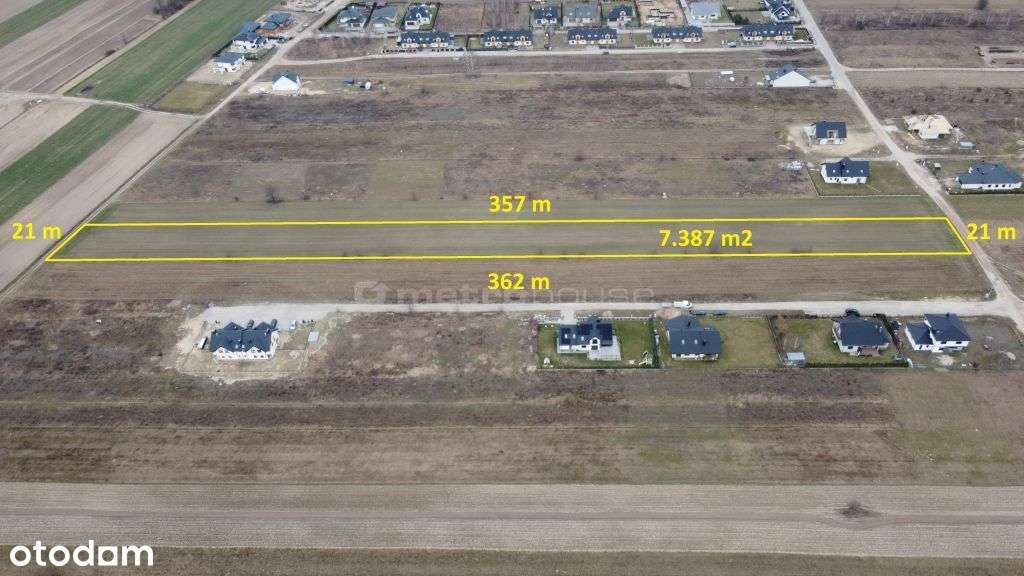 Działka, 7 387 m², Rybienko Stare - Pełny obrazek: 5/6