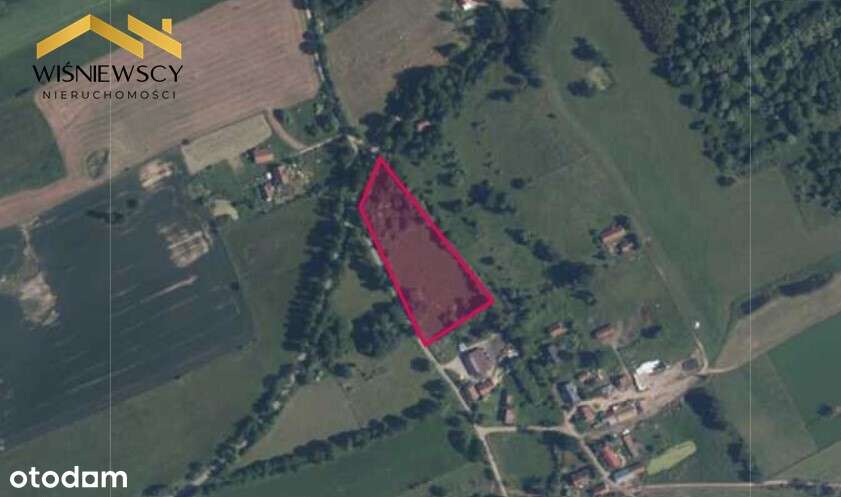 Działka 1.13ha z warunkami zabudowy, Łozy-Braniewo - Pełny obrazek: 4/5