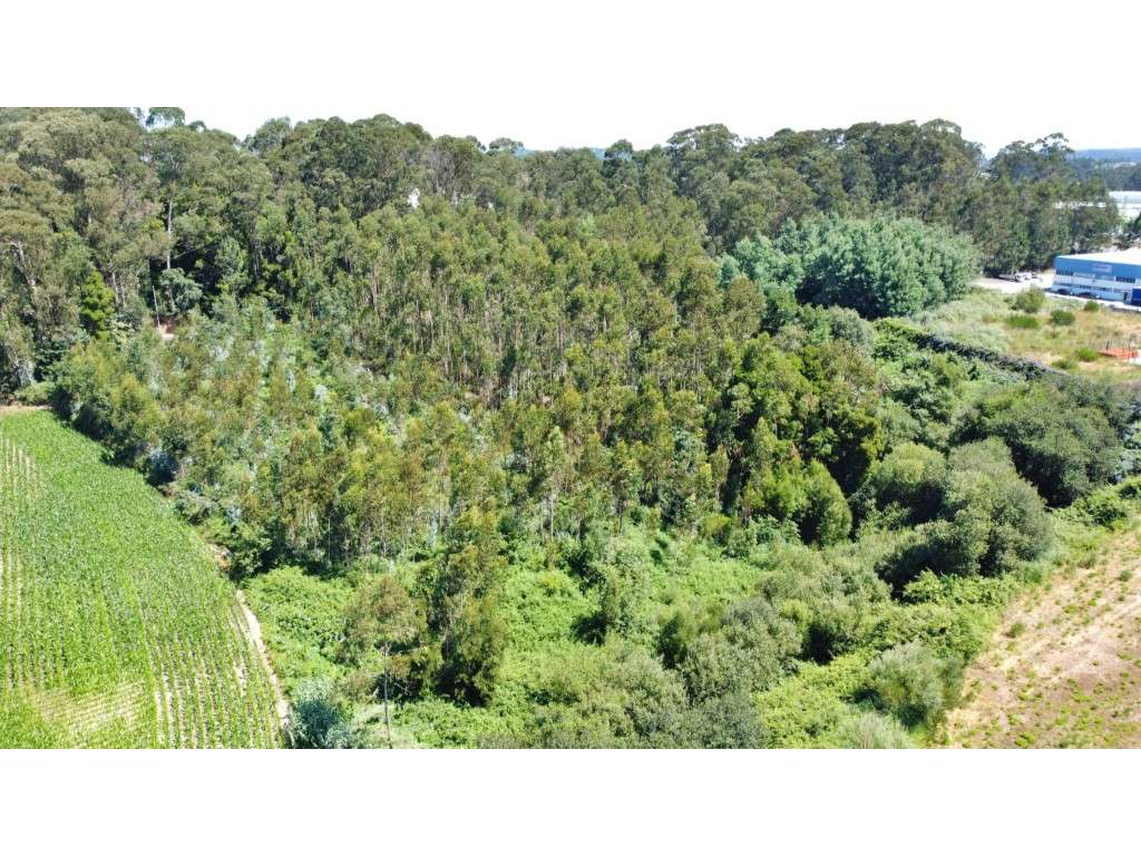 Terreno para 11 armazéns na Zona Industrial da Maia - Grande imagem: 5/5