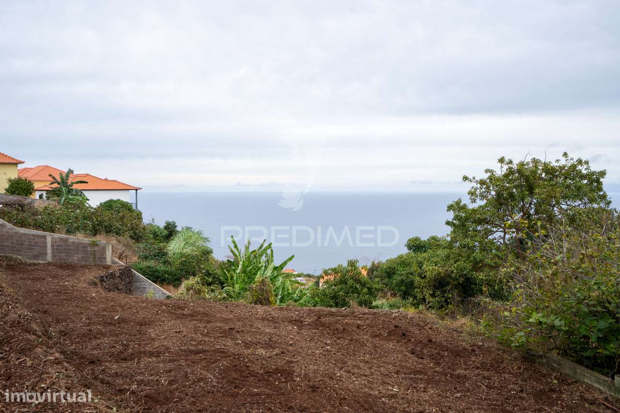 Terreno Rústico 1.250m2 em Gaula - Grande imagem: 3/7