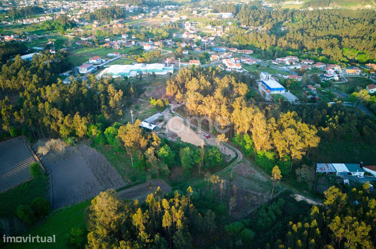 Terreno agrícola em Fragoso-5