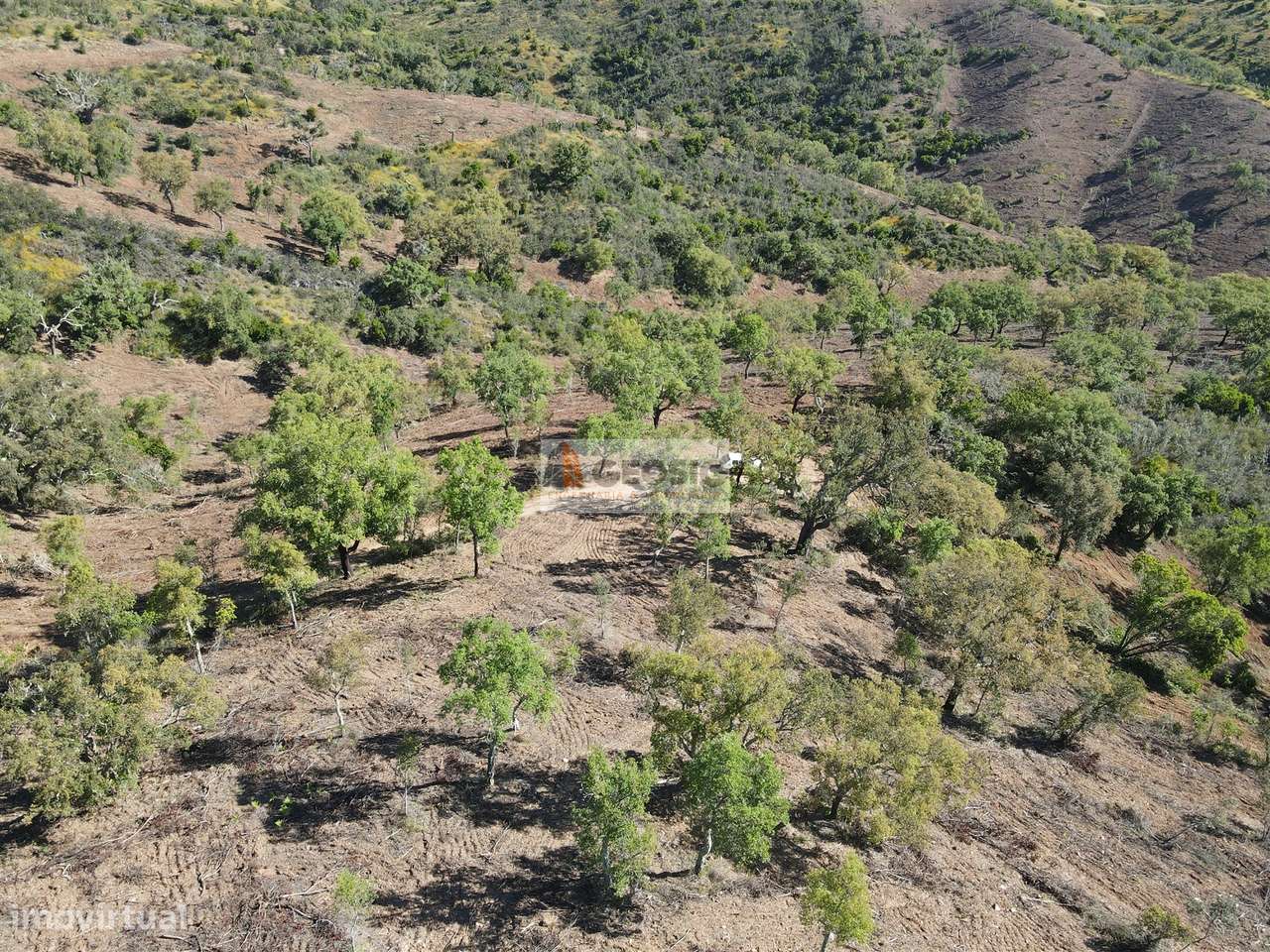 Terreno Rústico  Venda em Almodôvar e Graça dos Padrões,Almodôvar - Grande imagem: 4/8