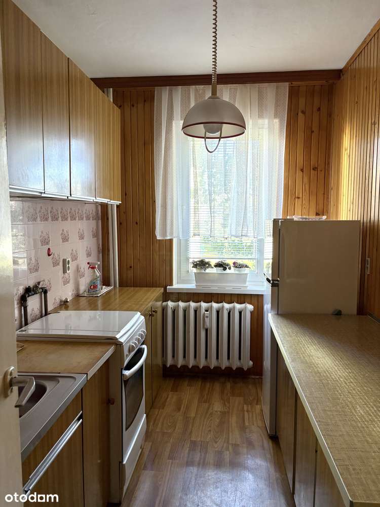 Okazja!!!Mieszkanie dwupokojowe 50,3m2 | loggia! I piętro! | Żyrardów-4