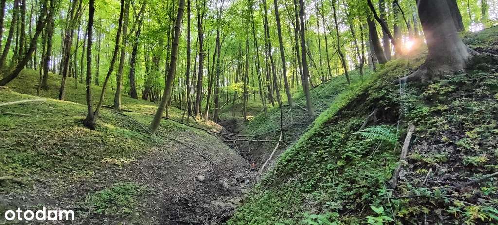 Atrakcyjna działka widokowa z lasem-5