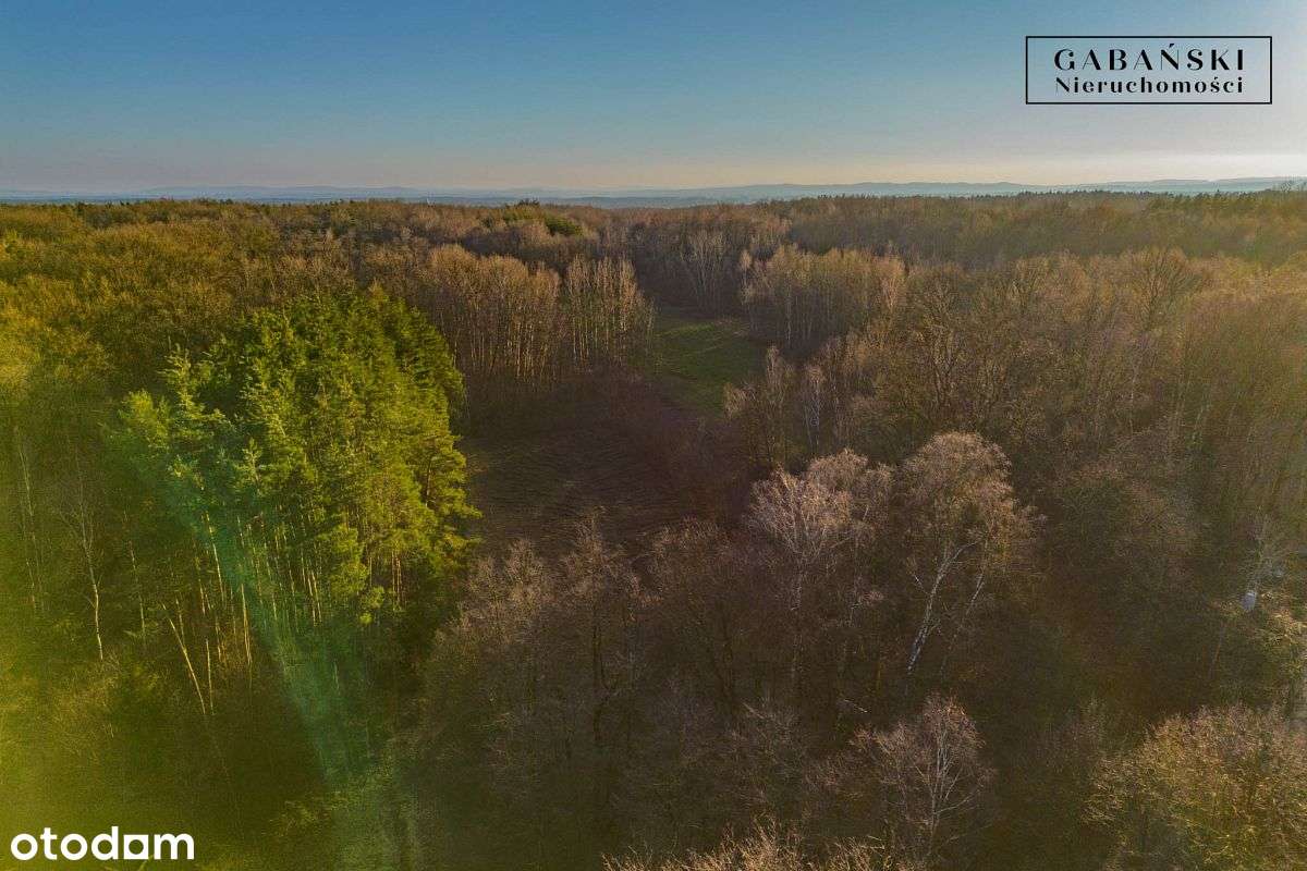 Działka budowlana na sprzedaż - Zaczarnie-9