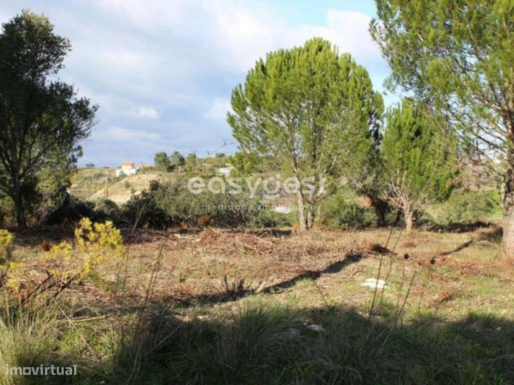Terreno para Construção com 2450m2 em Carregueiros - Grande imagem: 3/5
