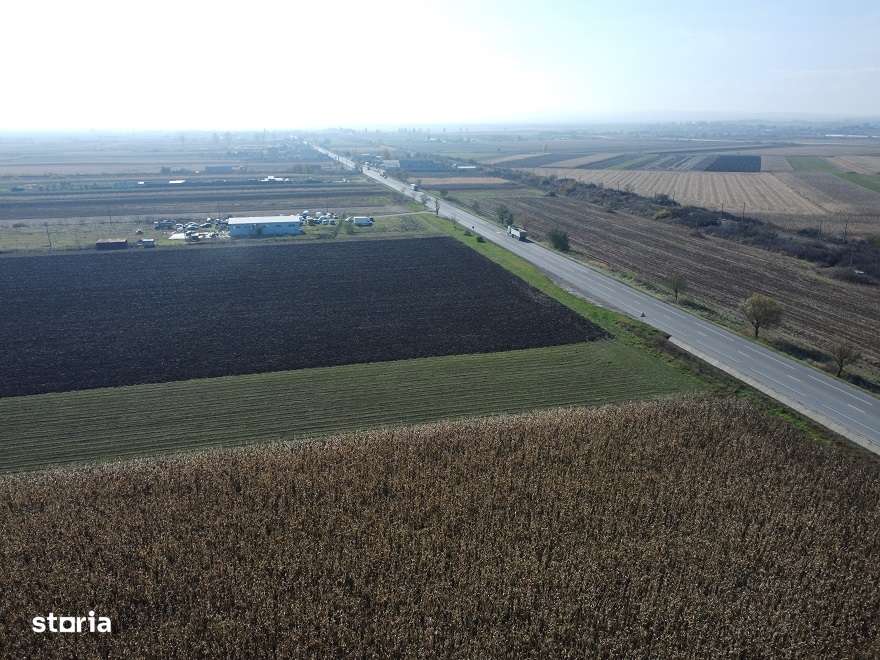 Teren Secuienii Noi /Basta 27900 mp Utilitati 92 ml Deschidere - Imagine principală: 4/11