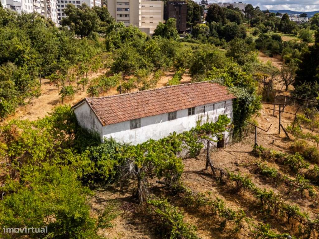 Quinta histórica em Penafiel-7