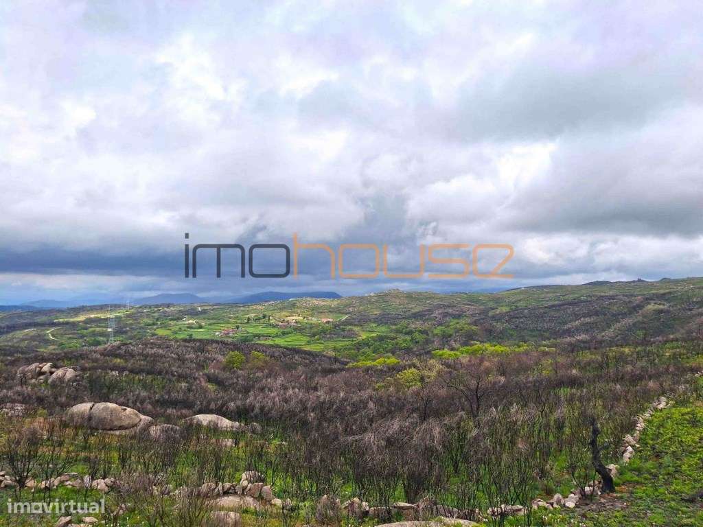 Quinta de 36 hectares - Várias edificações - Grande imagem: 5/54