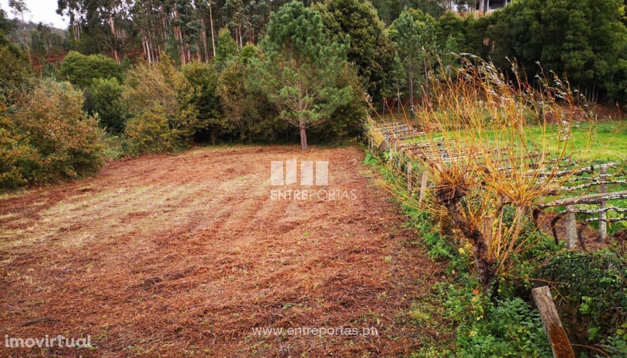 Terreno para venda, Argela, Caminha