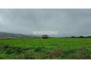 Terreno Rústico com 13960m2 a 2 km do centro de Pêro Pinheiro. - Grande imagem: 5/12