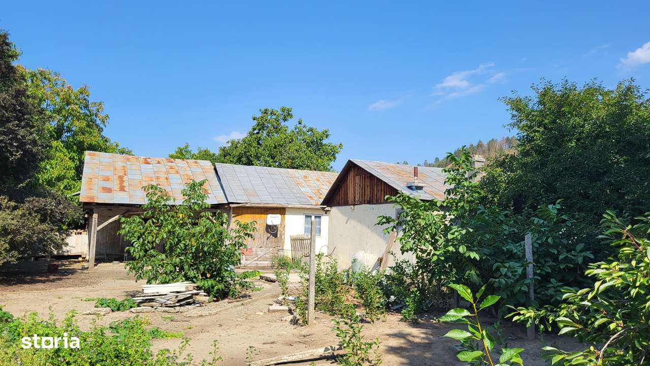 Casă de vânzare în mediul rural – liniște, natură și confort-7