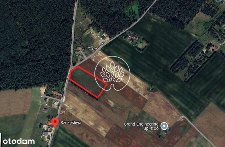 397/14150/OGS - Pełny obrazek: 4/4