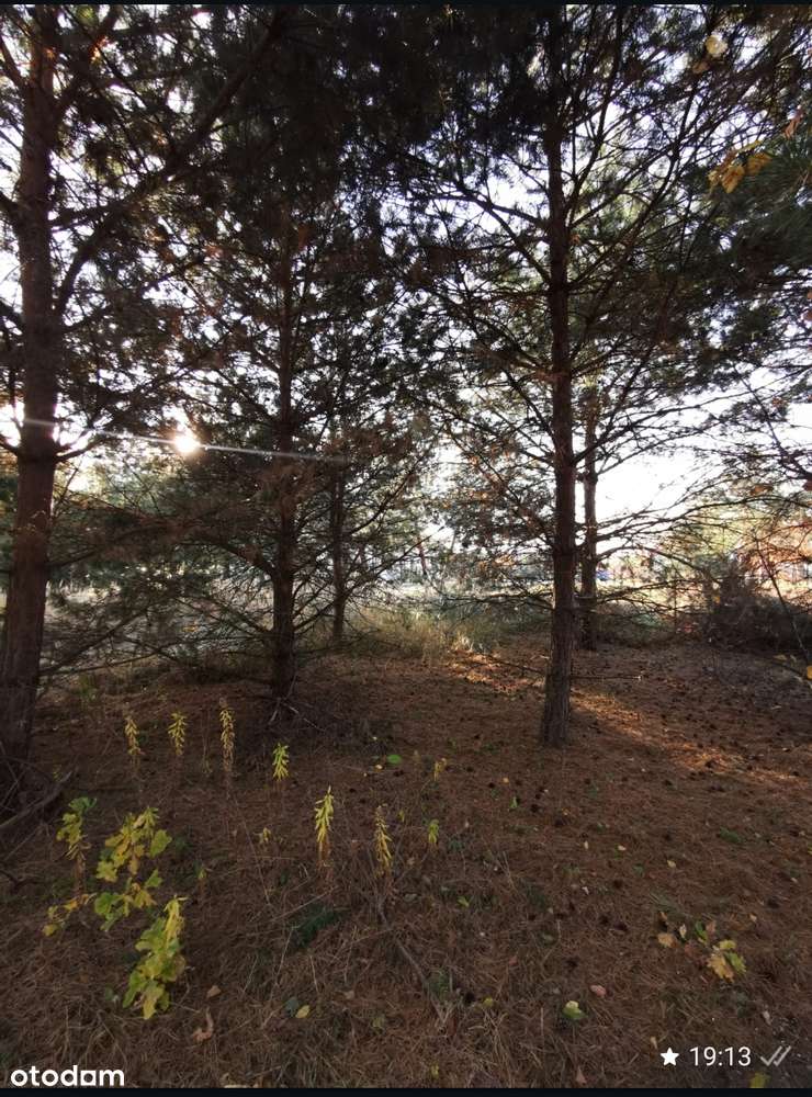 Atrakcyjna działka budowlana Masłów Trzebnicy Dolina Baryczy  750 m²