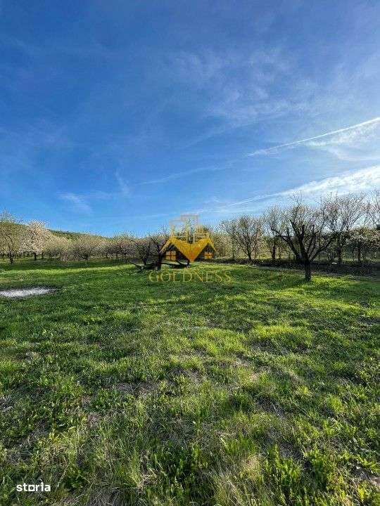 Tren Soporului Intravilan ,5500 MP Utilitati,  Oportunitate - Imagine principală: 1/10