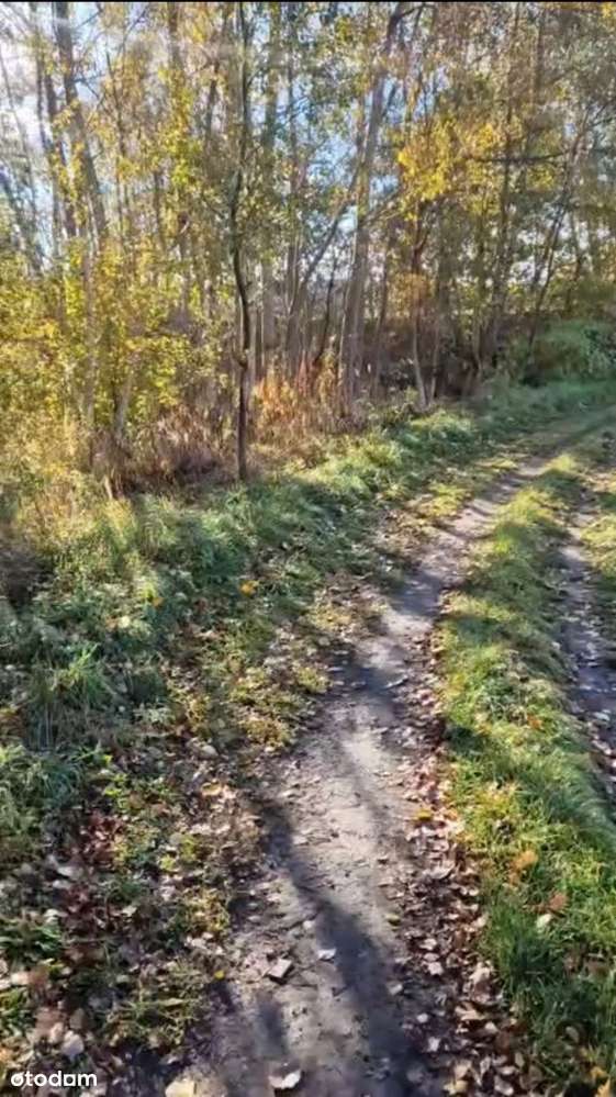 Działka budowlana 0,51 ha pod zabudowę – Orzesze - Pełny obrazek: 3/4