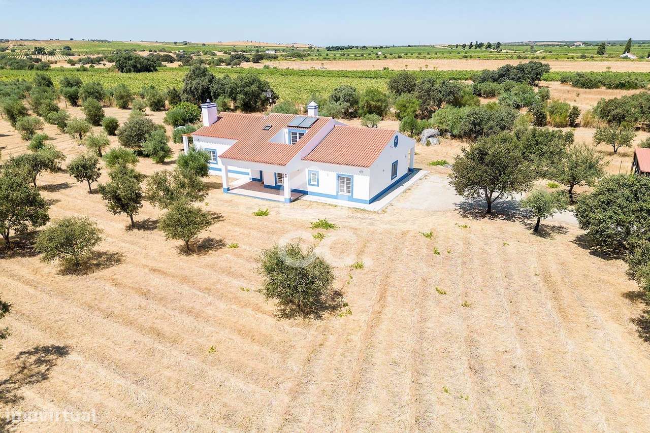 Quinta de 1,29 ha c/ Moradia T4 e Piscina | Reguengos de Monsaraz, Évo-52
