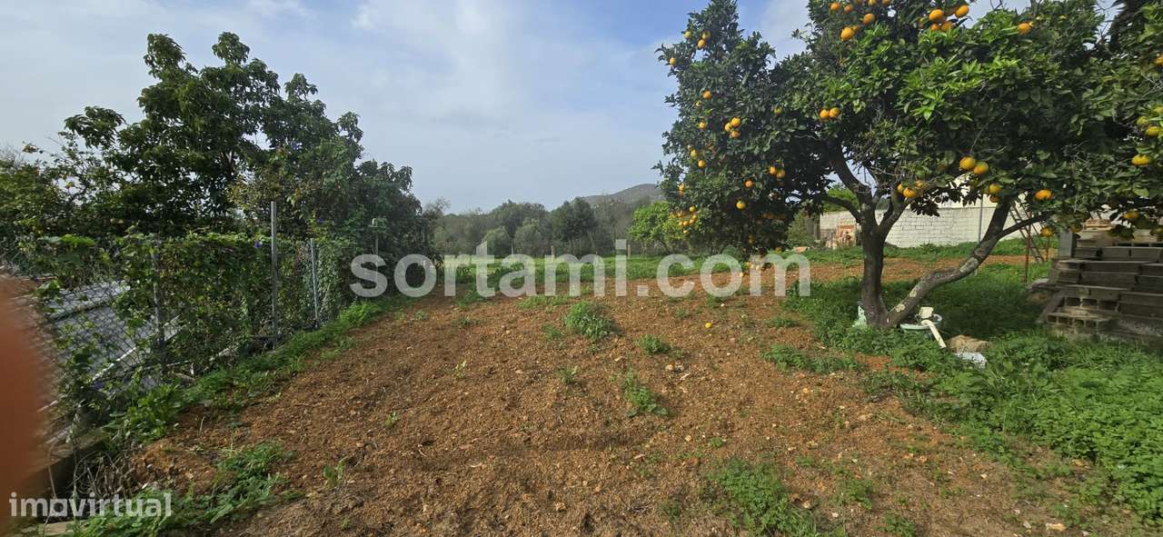Terreno Para Construção  Venda em Almancil,Loulé - Grande imagem: 3/12