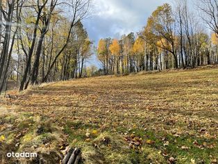 Działka budowlana 1 067m2 - Świeradów Zdrój