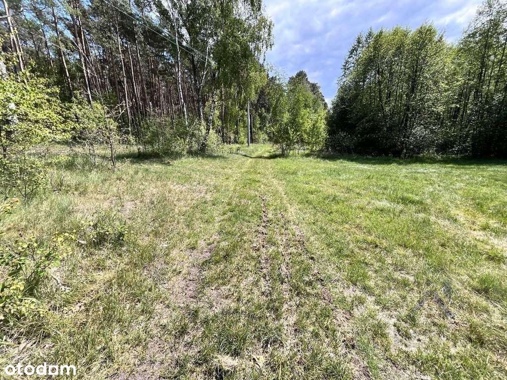 Maluszyn- okazja- dwie działki w cenie jednej ! - Pełny obrazek: 5/8