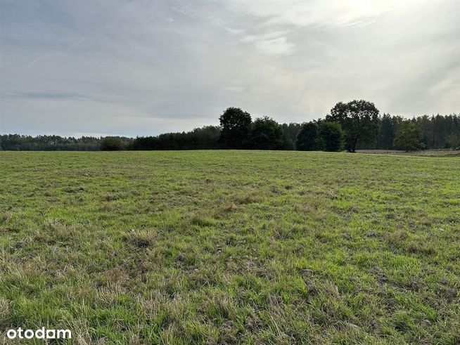 Działka budowlana o pow. 2412 m2, Nowy Chwalim-17