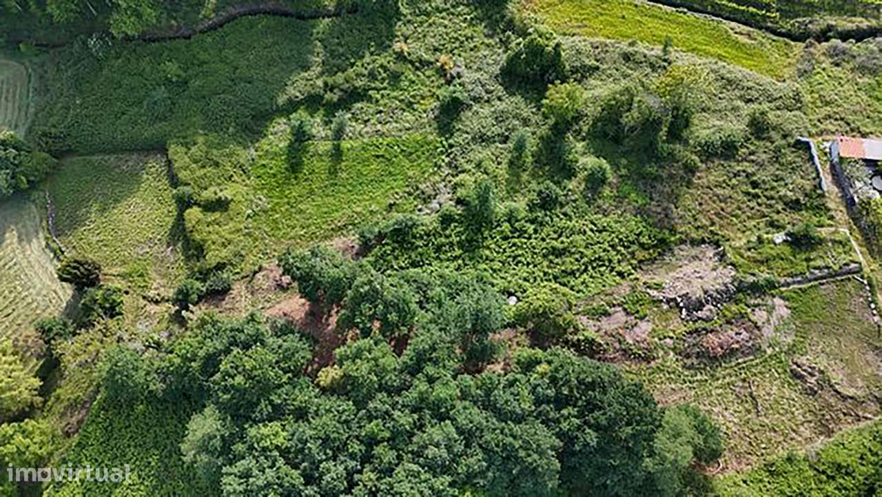 Terreno para Venda em Baltar - Paredes - Distrito do Porto-6