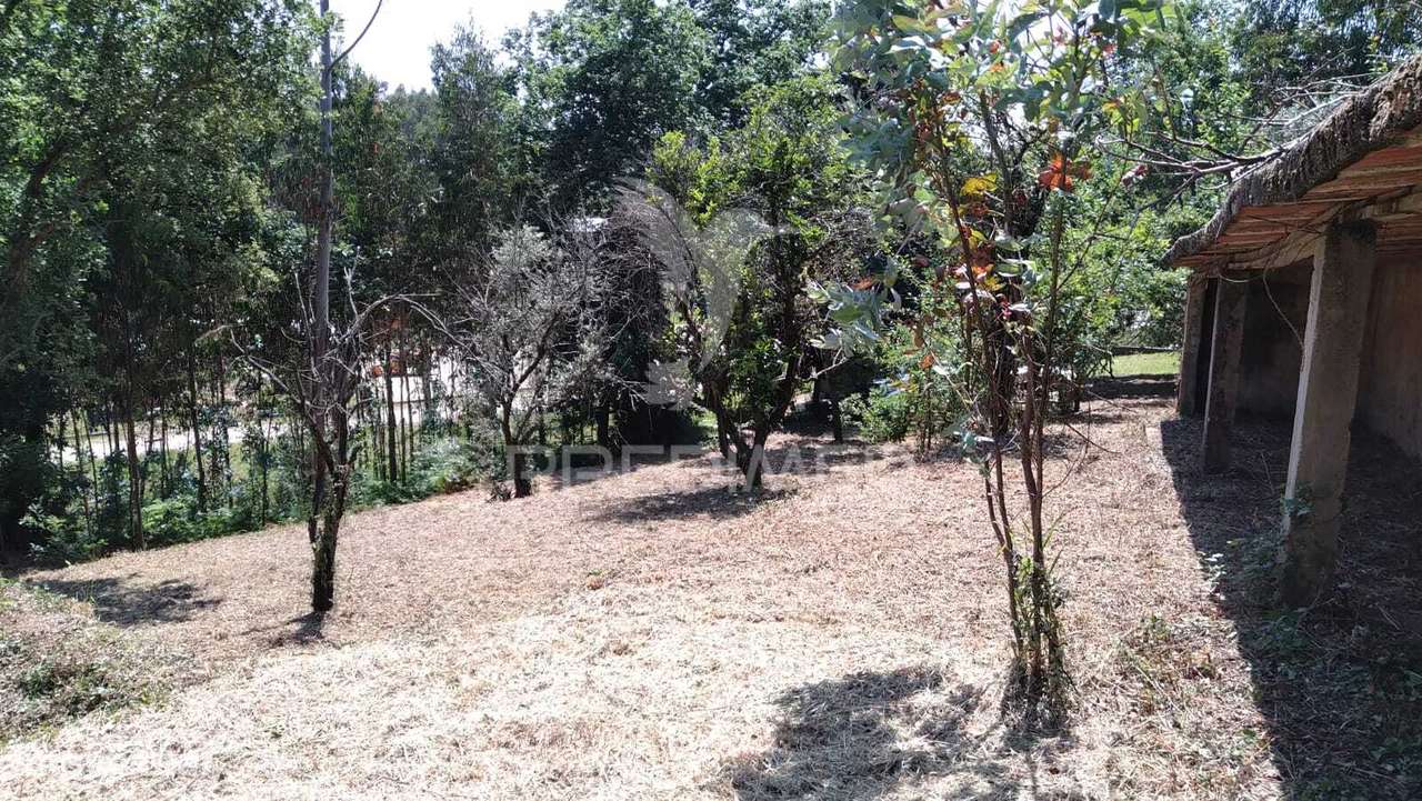 Terreno Urbanizável de 4514m² – Perto do Rio Alfusqueiro - Grande imagem: 4/12