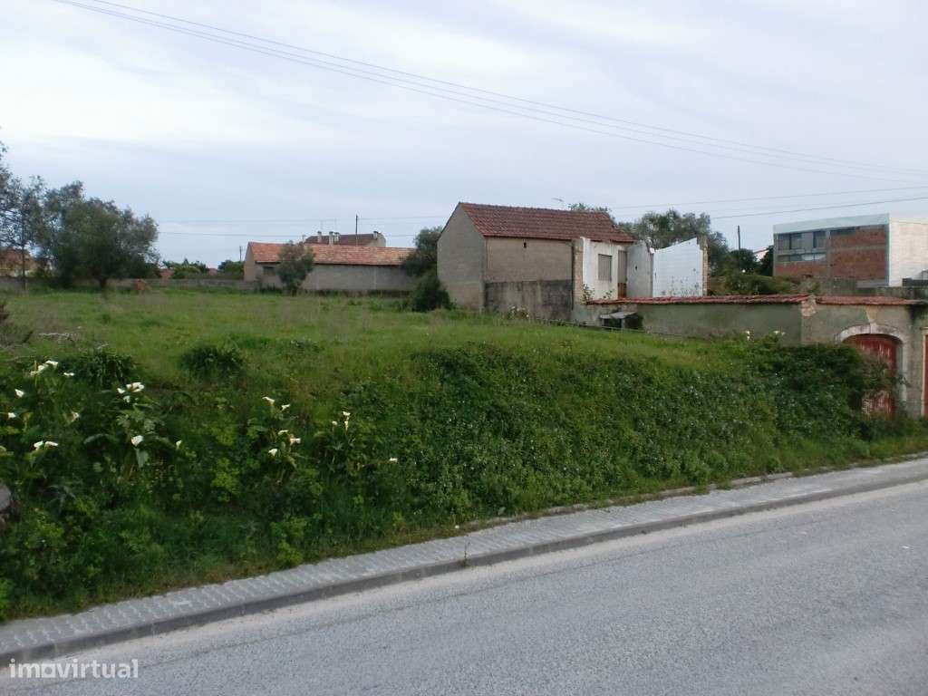 Terreno - Próximo de Leiria-0