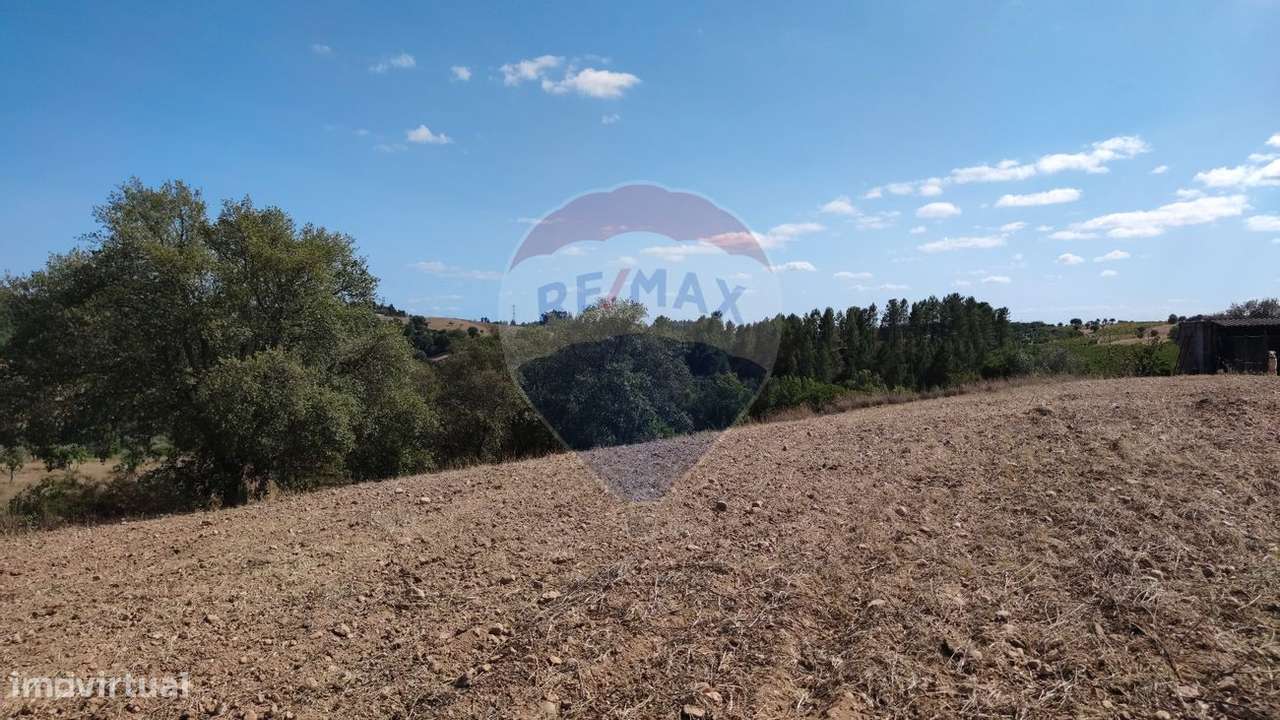 Terreno  para venda - Grande imagem: 5/5