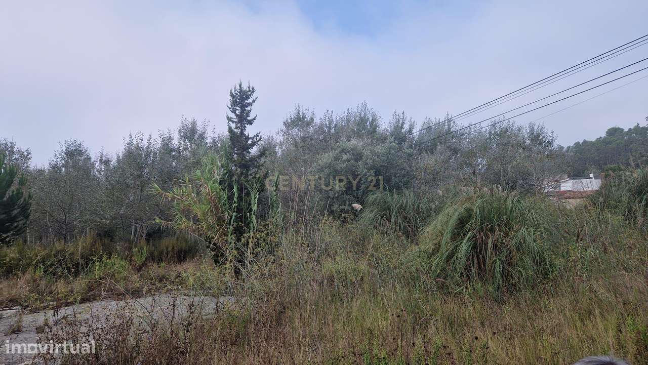 Terreno com grandes dimensões às portas de Condeixa - Grande imagem: 5/15
