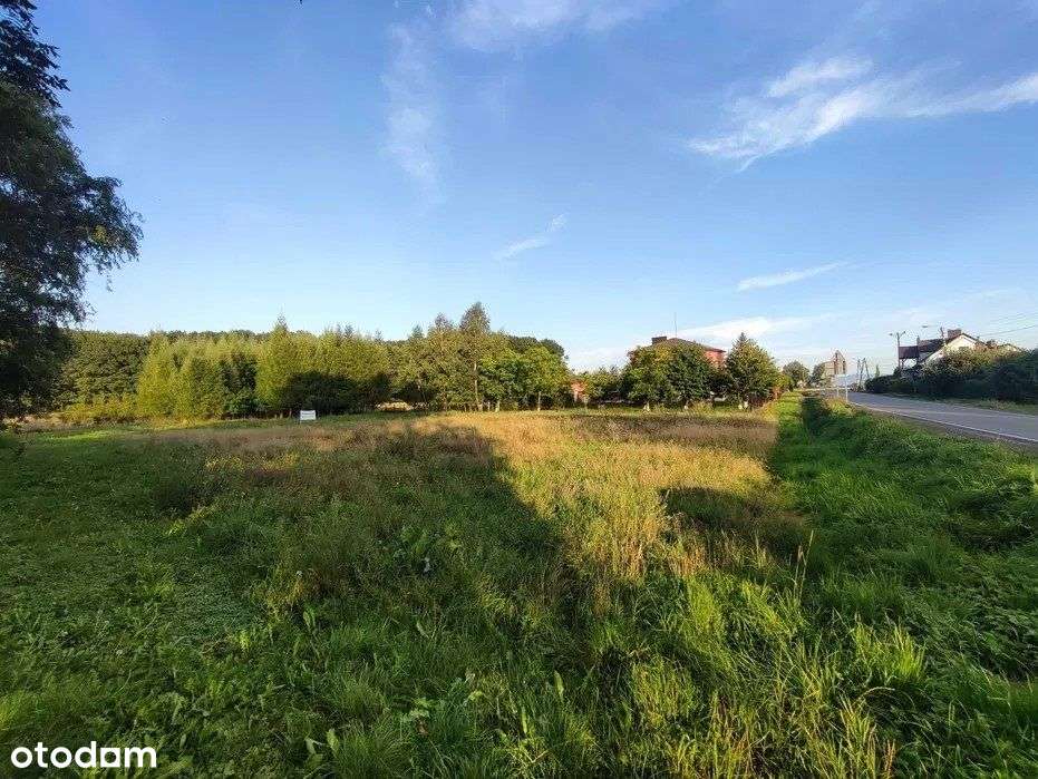 Działka budowlana pod lasem, Jawiszowice-9