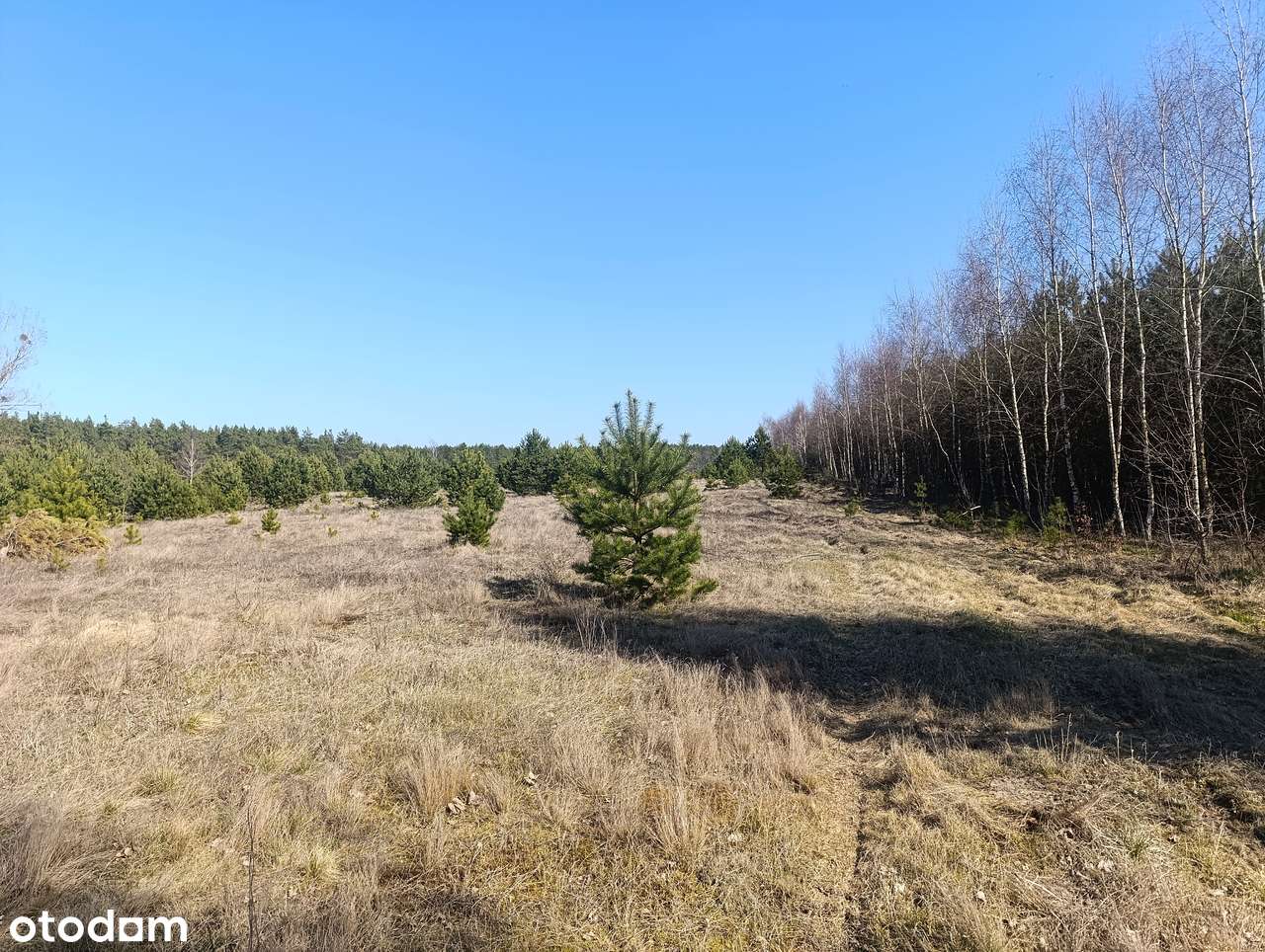 Działki budowlane zab. jedno rodzinna od 1000 m2-5