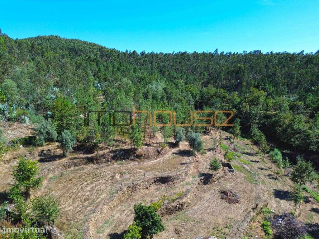 Quinta Isolada com Margem de Rio e Potencial de Eco-Retiro - Arouca-13