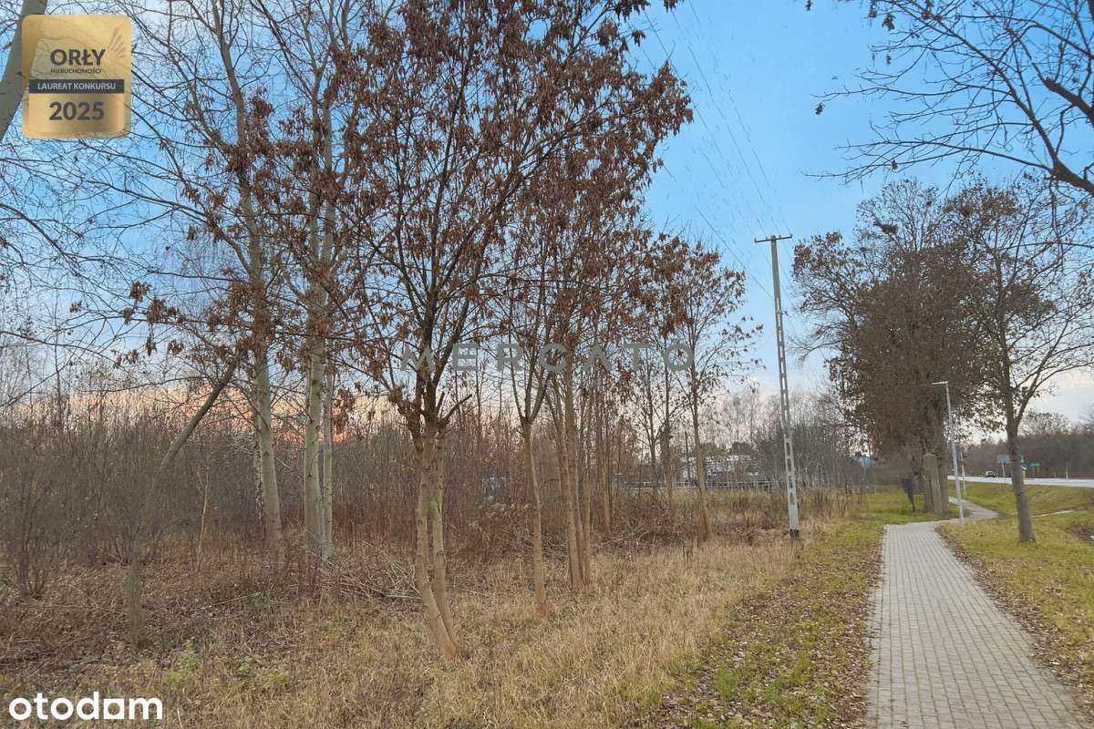 Działka 10 000 m² z potencjałem – na sprzedaż-5