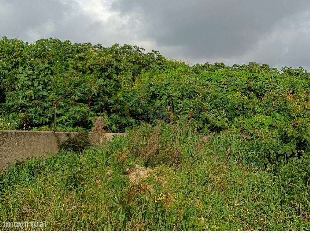 Excelente oportunidade para construção de 1 ou 2 moradias total 880...-15