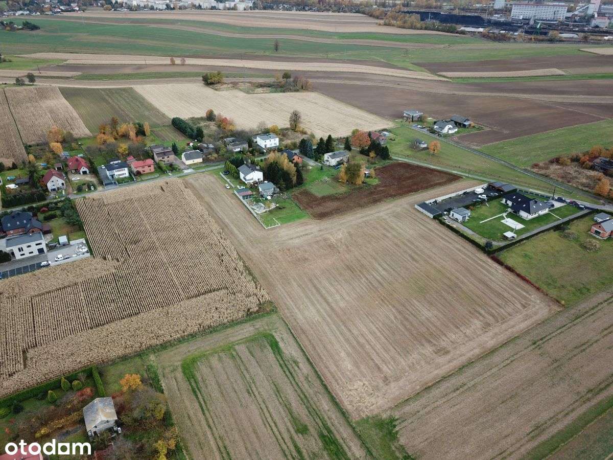 Działka budowlano-rolna Jastrzębie Zdrój - Pełny obrazek: 5/7