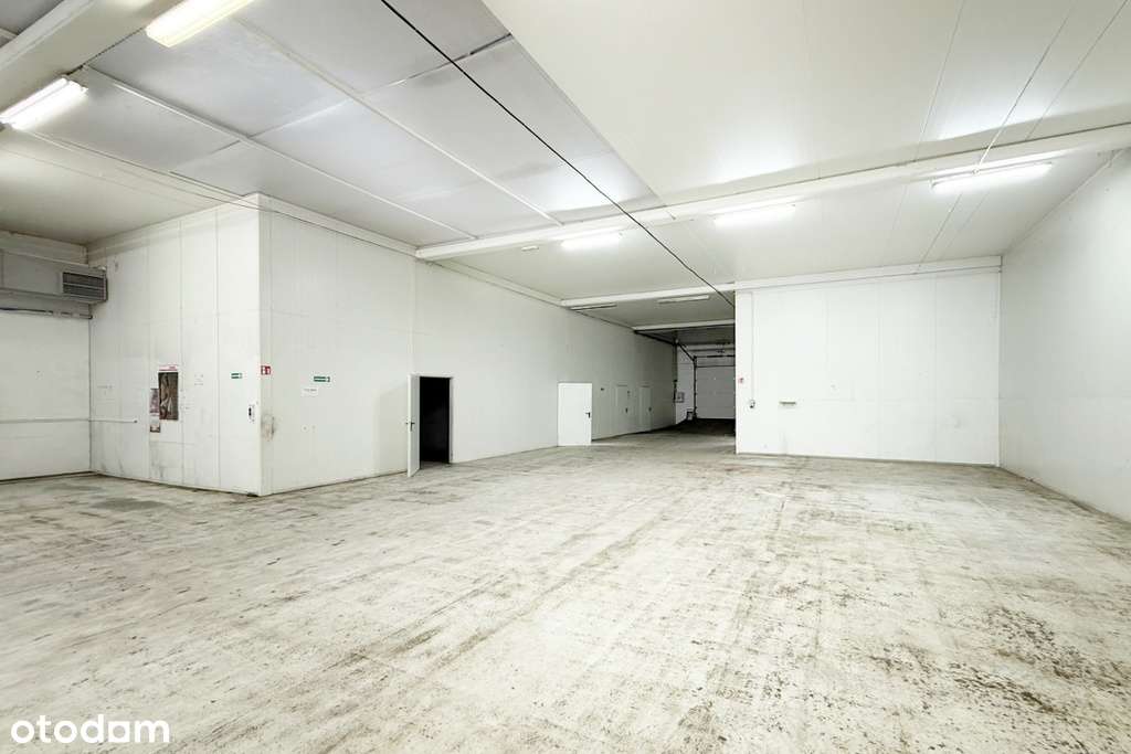 Hala produkcyjno-magazynowa z placem - Pełny obrazek: 3/7