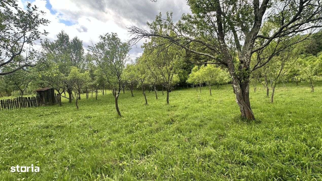 Teren intravilan 3102mp zona Racovita-Blanoiu - Imagine principală: 4/8