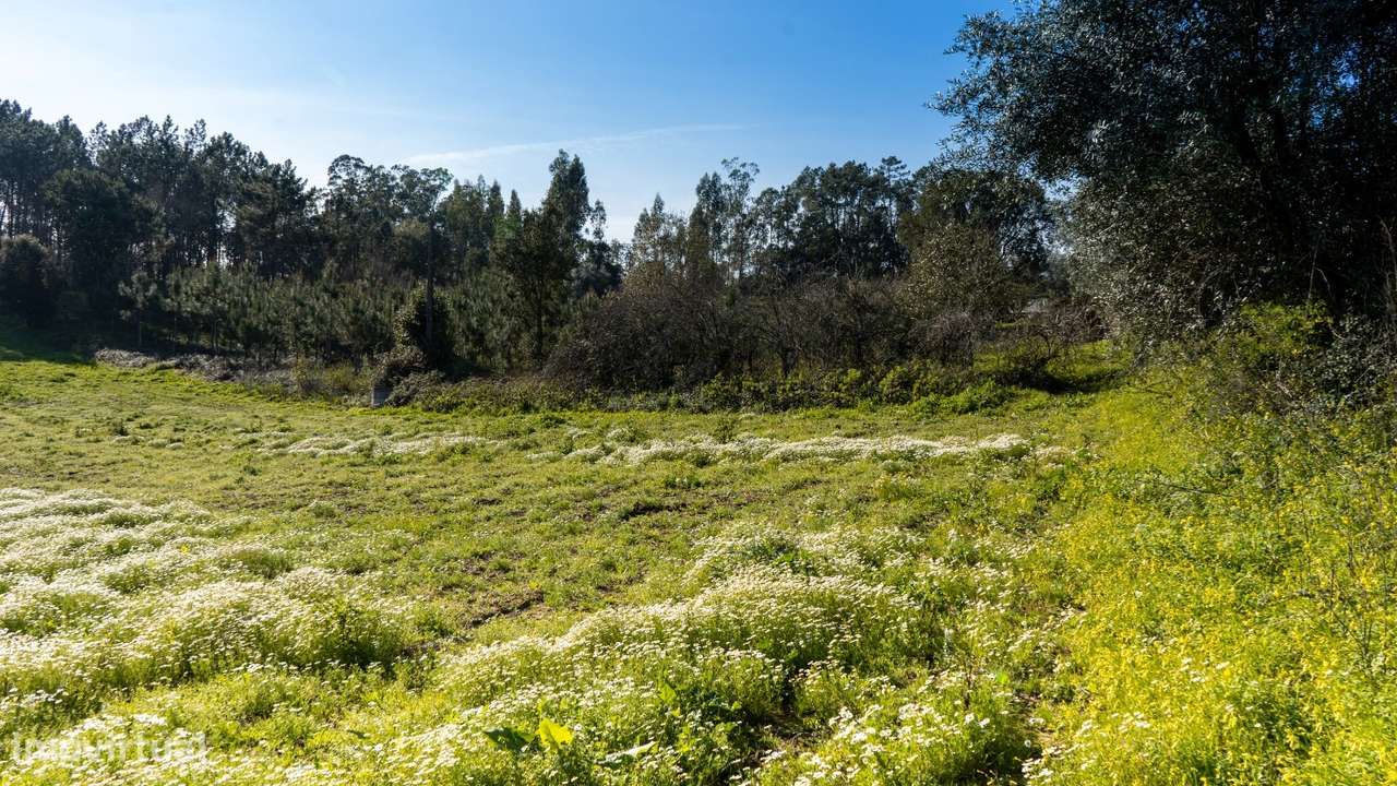 Terreno Rústico  Venda em Parceiros e Azoia,Leiria - Grande imagem: 3/14