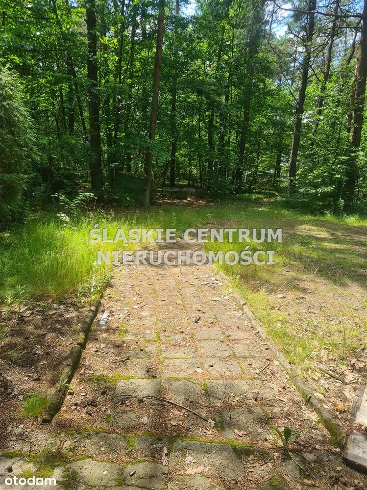 Działka z domem w Hutkach Kankach Poziomkowa - Pełny obrazek: 4/16