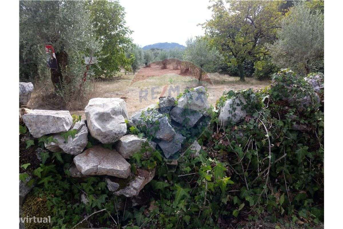 Terreno T0 para venda - Grande imagem: 5/9