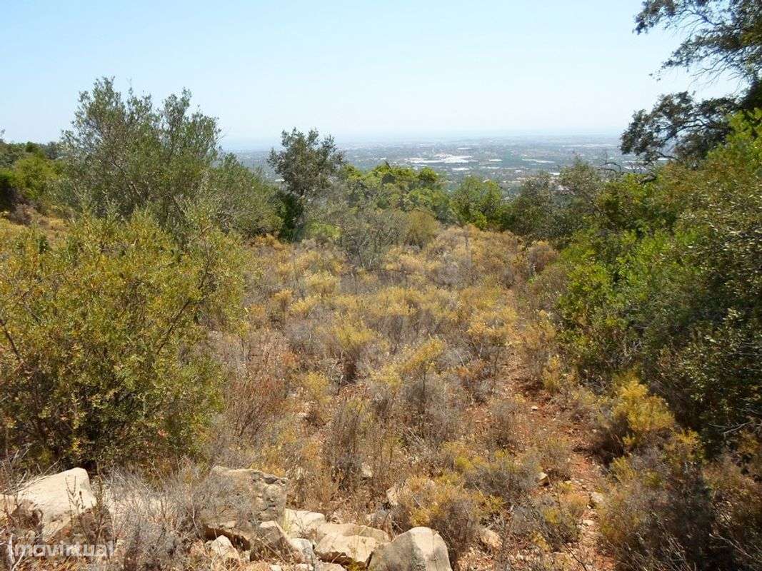 Terreno  para venda - Grande imagem: 5/9