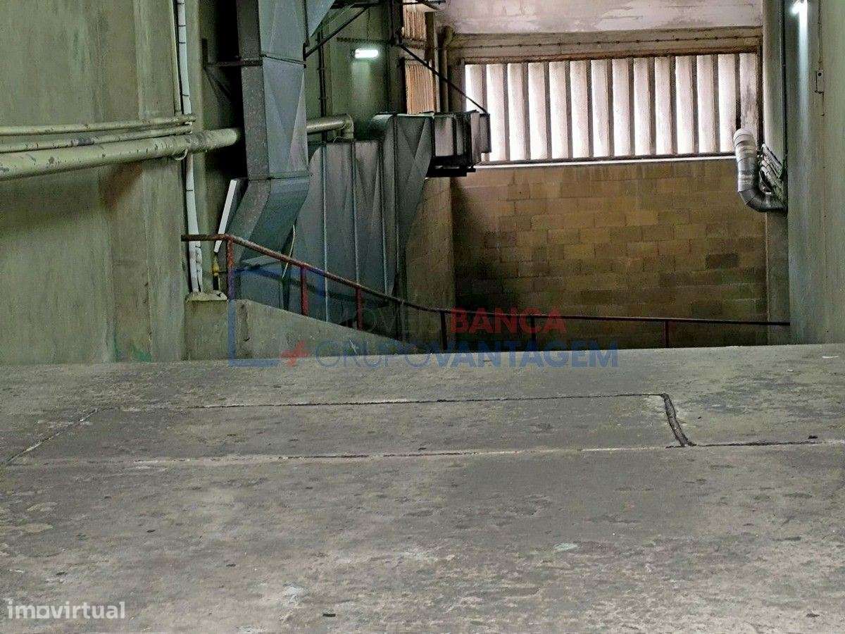 Garagem ARRENDADA - 265m2 Estrela - Lisboa - Grande imagem: 4/22