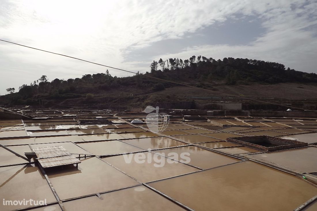 Terreno Rio Maior